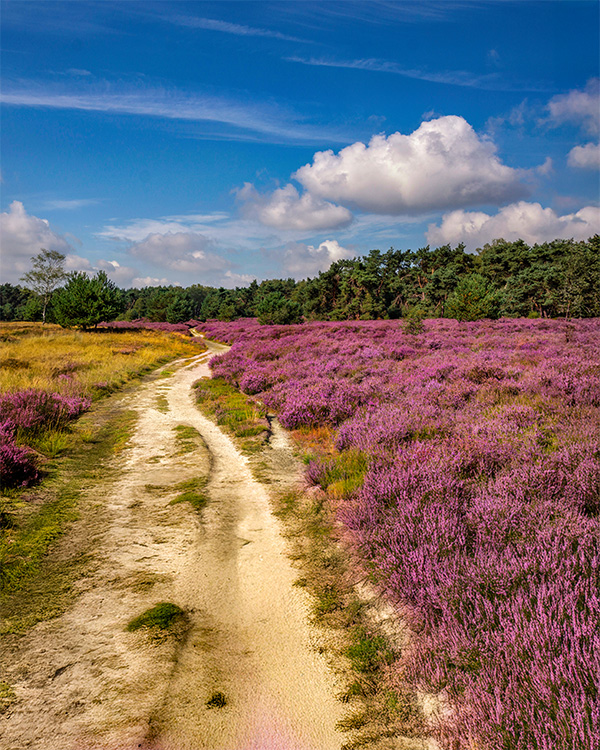 Stary Młyn Strzeszyn - udogodnienia w obiekcie