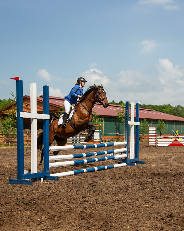 Stary Młyn Strzeszyn - udogodnienia w obiekcie